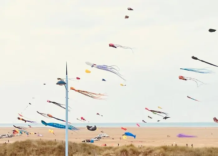 Seagull\'S View